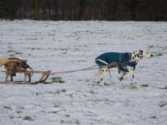 IMG-20150129-WA0025 (Small)
