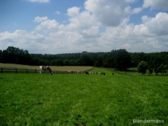 img_1183966019_353